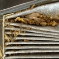 How Long Does a Car Cabin Air Filter Last? - An Expert's Guide